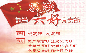 争当“双强六好”党支部